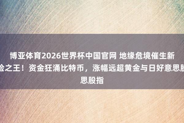 博亚体育2026世界杯中国官网 地缘危境催生新避险之王!资金狂涌比特币,涨幅远超黄金与日好意思股指