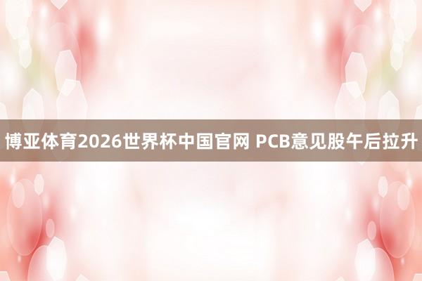 博亚体育2026世界杯中国官网 PCB意见股午后拉升