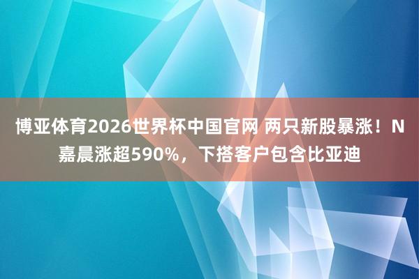 博亚体育2026世界杯中国官网 两只新股暴涨!N嘉晨涨超590%,下搭客户包含比亚迪
