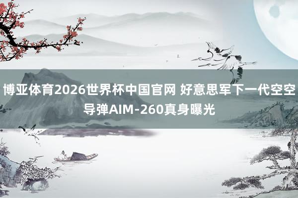 博亚体育2026世界杯中国官网 好意思军下一代空空导弹AIM-260真身曝光