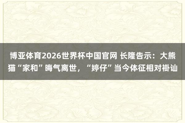 博亚体育2026世界杯中国官网 长隆告示:大熊猫“家和”晦气离世,“婷仔”当今体征相对褂讪