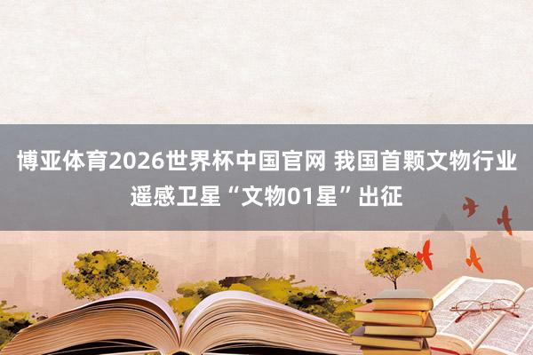 博亚体育2026世界杯中国官网 我国首颗文物行业遥感卫星“文物01星”出征