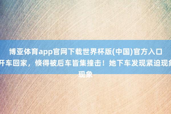 博亚体育app官网下载世界杯版(中国)官方入口 开车回家,倏得被后车皆集撞击!她下车发现紧迫现象
