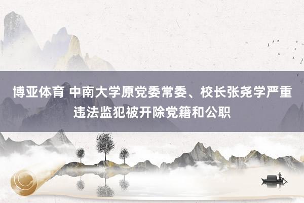 博亚体育 中南大学原党委常委、校长张尧学严重违法监犯被开除党籍和公职