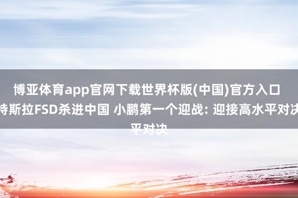 博亚体育app官网下载世界杯版(中国)官方入口 特斯拉FSD杀进中国 小鹏第一个迎战: 迎接高水平对决
