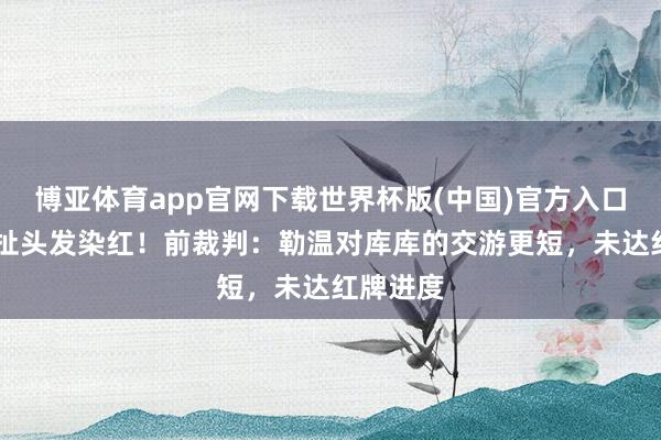 博亚体育app官网下载世界杯版(中国)官方入口 利马曾扯头发染红!前裁判:勒温对库库的交游更短,未达红牌进度