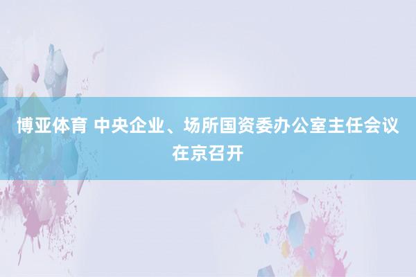 博亚体育 中央企业、场所国资委办公室主任会议在京召开