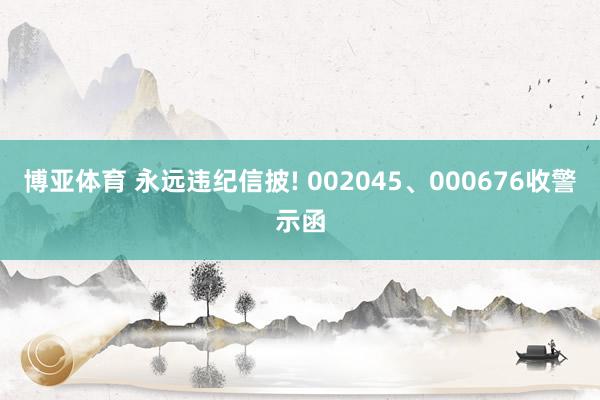 博亚体育 永远违纪信披! 002045、000676收警示函