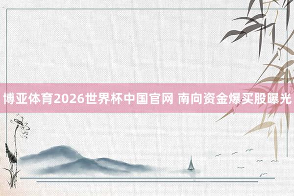 博亚体育2026世界杯中国官网 南向资金爆买股曝光