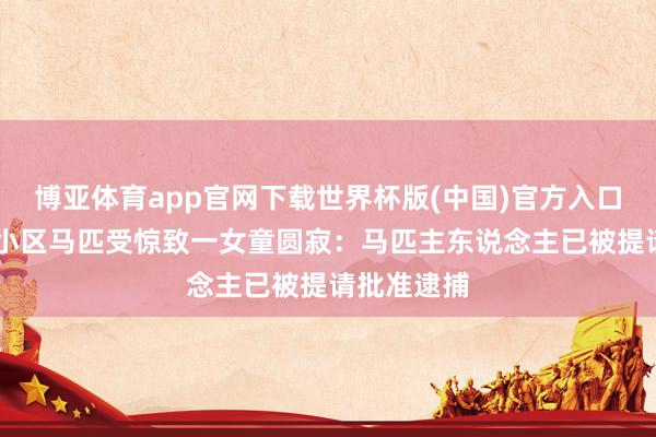 博亚体育app官网下载世界杯版(中国)官方入口 贵阳通报小区马匹受惊致一女童圆寂:马匹主东说念主已被提请批准逮捕