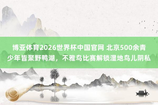 博亚体育2026世界杯中国官网 北京500余青少年皆聚野鸭湖,不雅鸟比赛解锁湿地鸟儿阴私