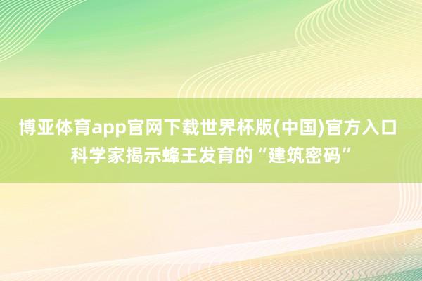 博亚体育app官网下载世界杯版(中国)官方入口 科学家揭示蜂王发育的“建筑密码”