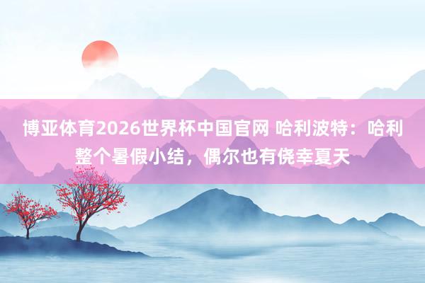 博亚体育2026世界杯中国官网 哈利波特:哈利整个暑假小结,偶尔也有侥幸夏天