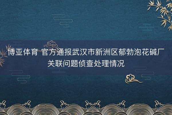 博亚体育 官方通报武汉市新洲区郁勃泡花碱厂关联问题侦查处理情况