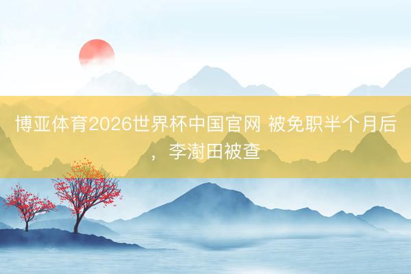 博亚体育2026世界杯中国官网 被免职半个月后，李澍田被查