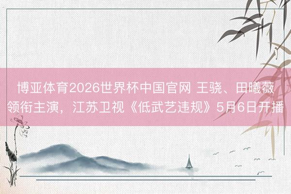 博亚体育2026世界杯中国官网 王骁、田曦薇领衔主演，江苏卫视《低武艺违规》5月6日开播