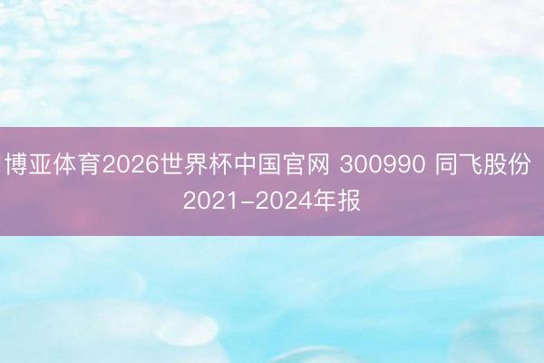 博亚体育2026世界杯中国官网 300990 同飞股份 2021-2024年报