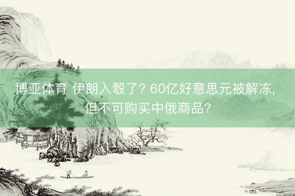 博亚体育 伊朗入彀了? 60亿好意思元被解冻， 但不可购买中俄商品?